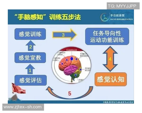南京飞盘队耐力对比深度解析与训练策略探讨